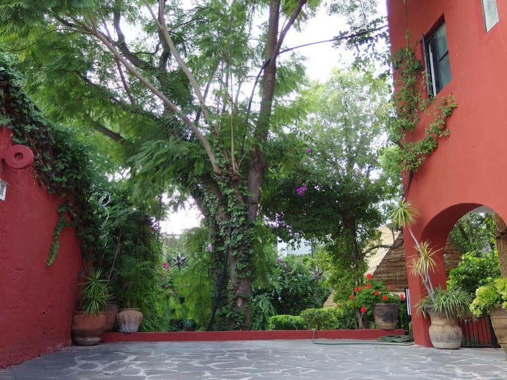 Casa De Las Conservas Comfort San Miguel de Allende Exteriör bild
